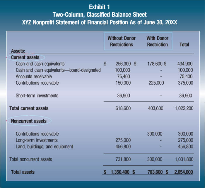 Balance Sheet For Non Profit Organisation Template